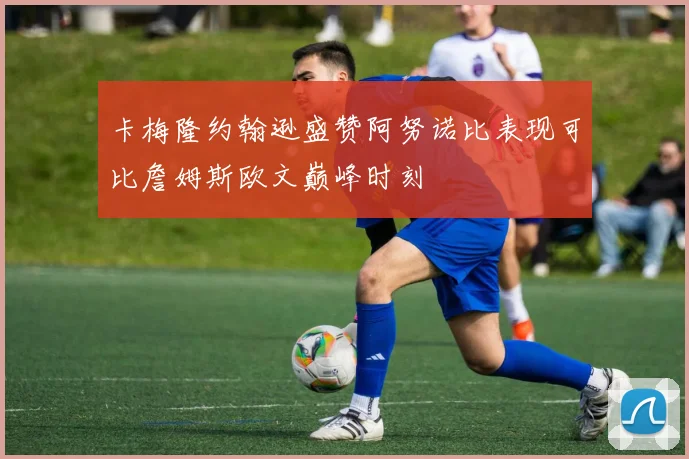 卡梅隆约翰逊盛赞阿努诺比表现可比詹姆斯欧文巅峰时刻